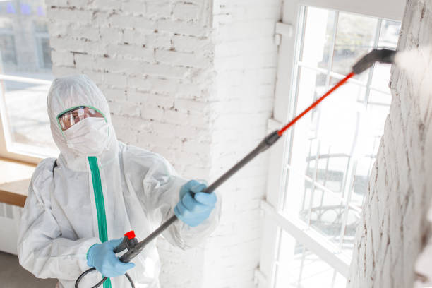 Best Air Quality Testing for Mold Spores  in Baker City, OR