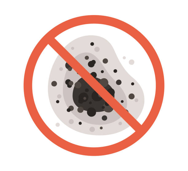 Best Mold Remediation for Rental Properties  in Baker City, OR