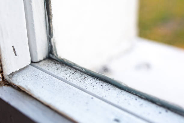 Mold Remediation for Rental Properties in Baker City, OR