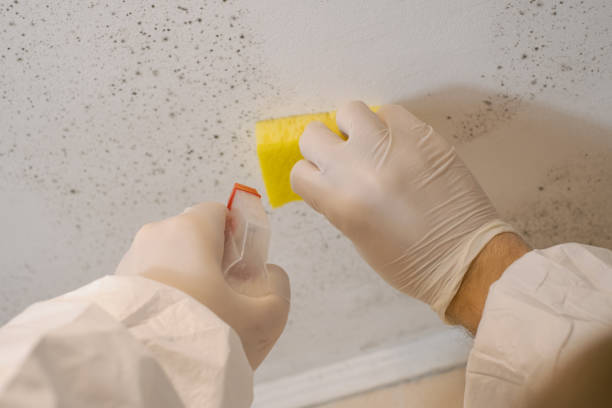 Best Dehumidification Services  in Baker City, OR