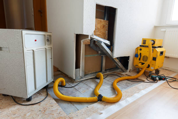  Baker City, OR Mold Removal Pros