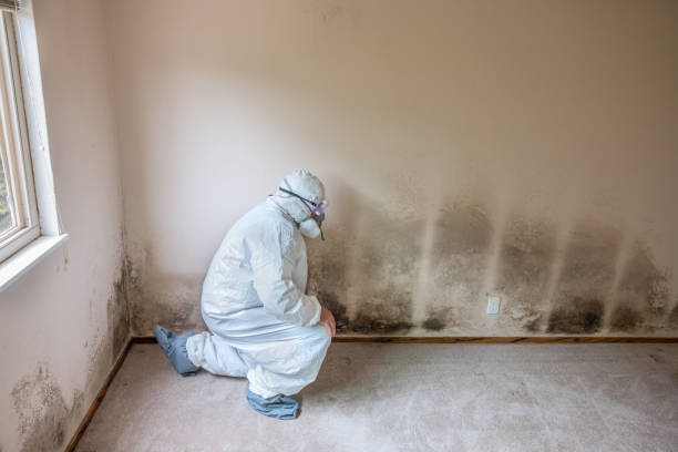 Baker City, OR Mold Removal Company